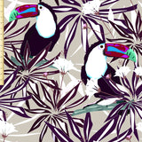 Toucan CL